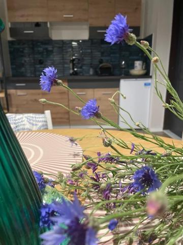 Apartment Naturalnietu